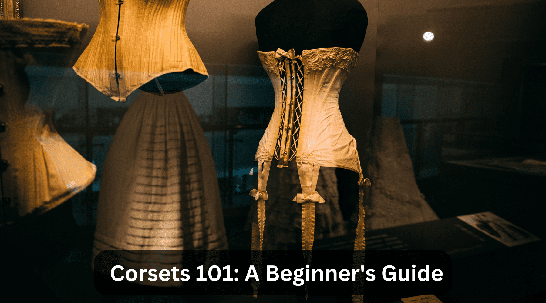 Corsets 101: A Beginner's Guide, Everything About Corsets – Miss